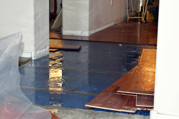 Professional Storm Water Damage Restoration technician working in Donald, OR